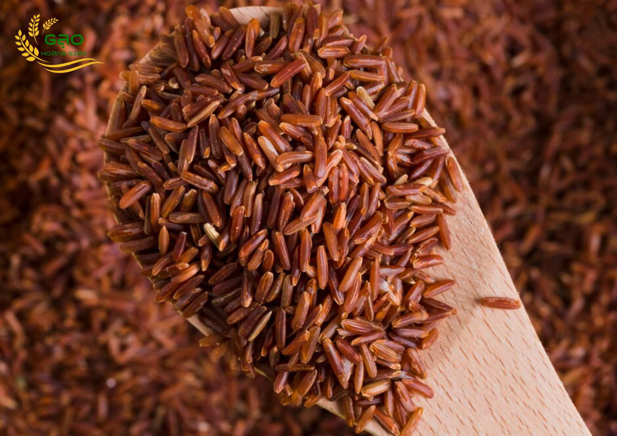 gạo lứt đỏ