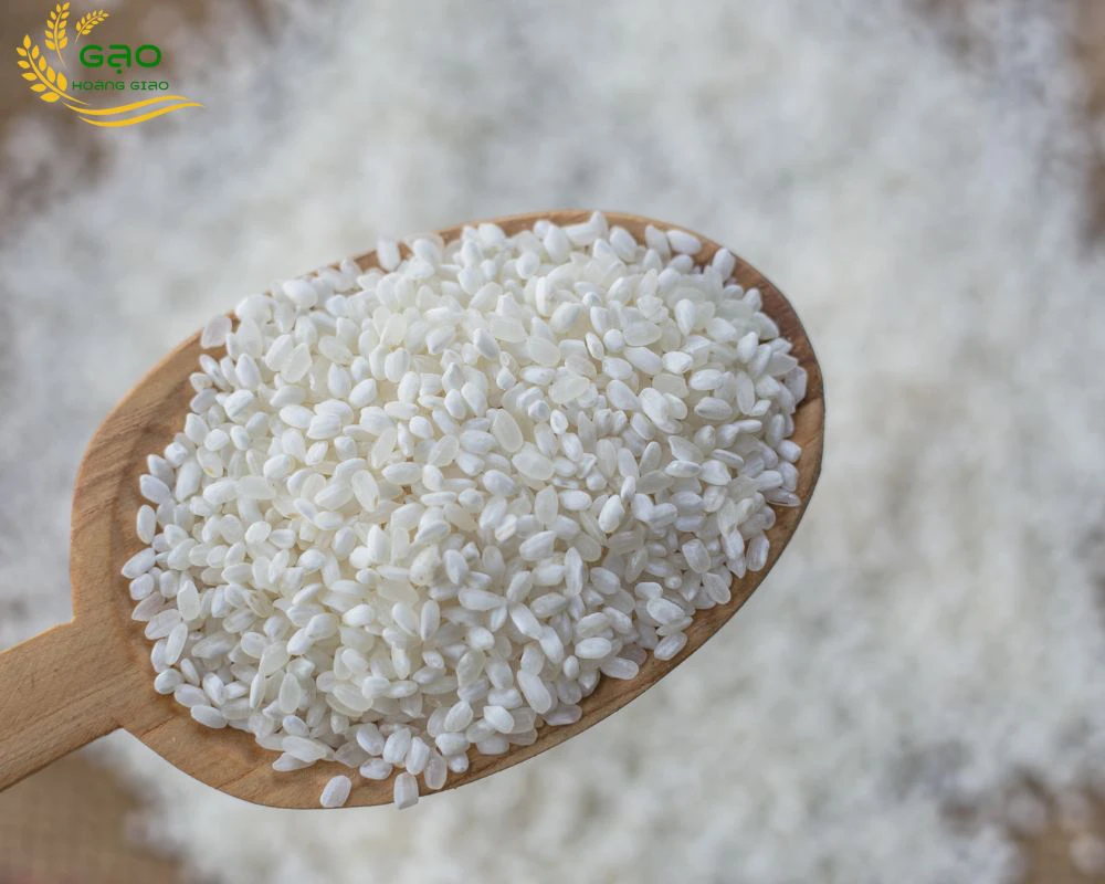 Gạo Japonica