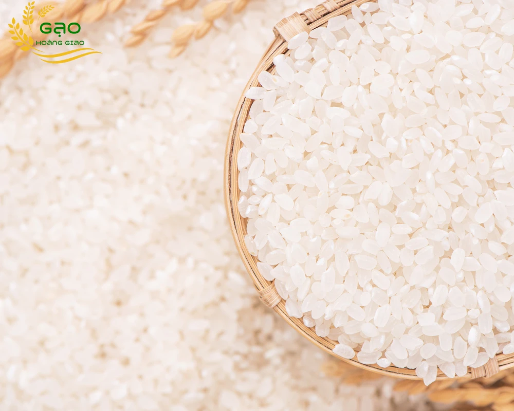 Gạo Sa Mơ