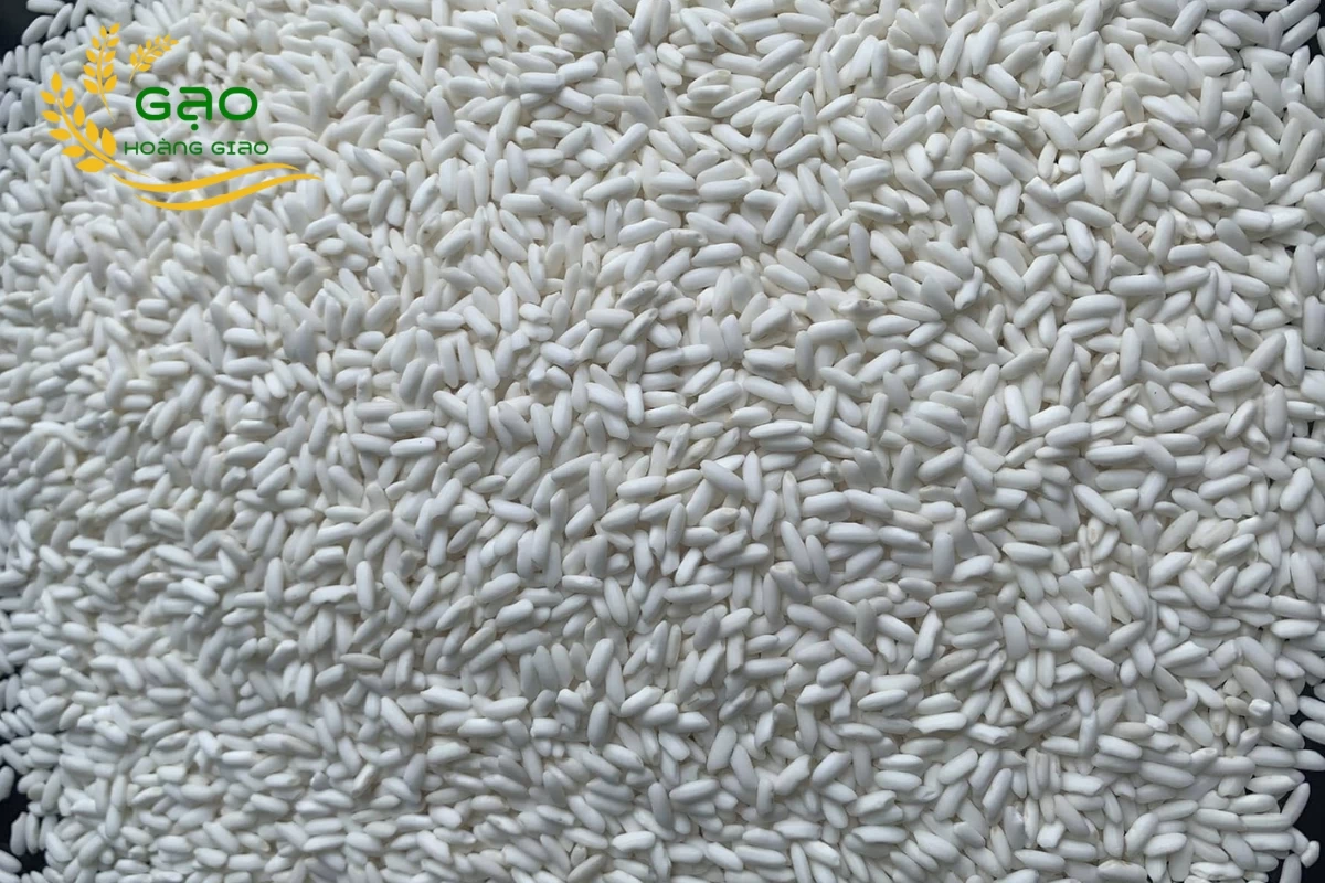 Mẫu gạo nếp sáp ngỗng