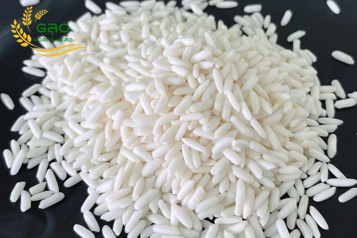 Mẫu gạo nếp Thái