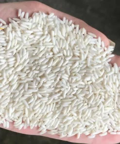 Gạo nếp Thái có hạt màu trắng đục, căng tròn, bóng mẩy, đẹp mắt