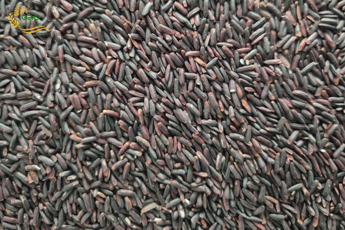 Bảng giá gạo ngày 20-11-2025