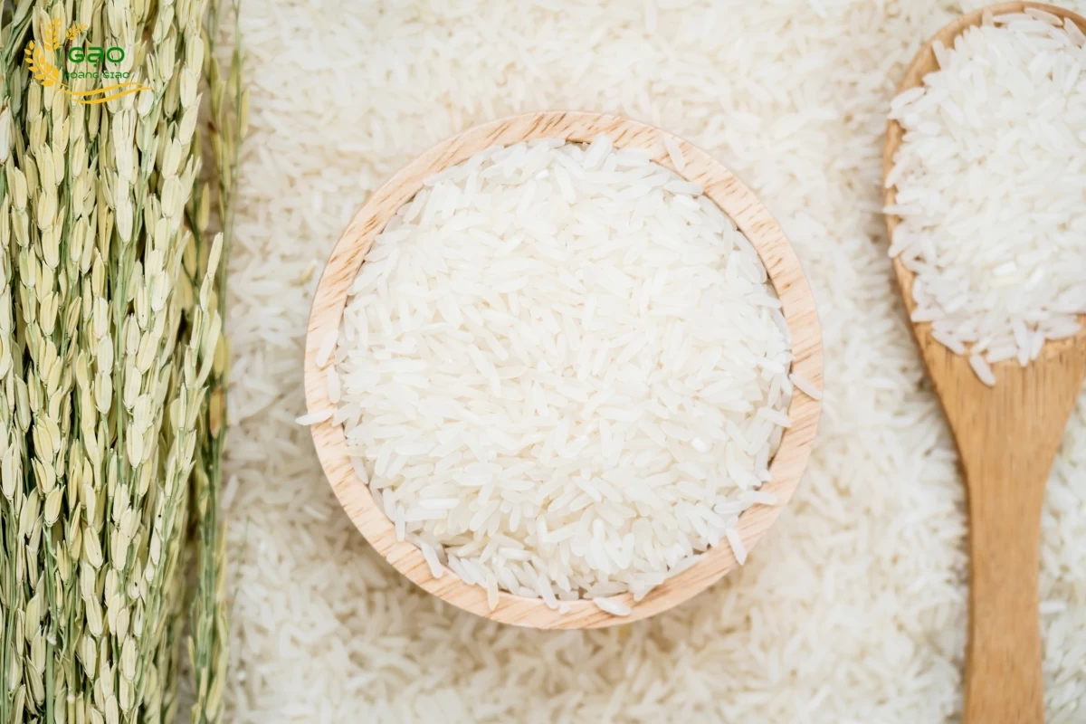 Bảng giá gạo ngày 20-03-2026