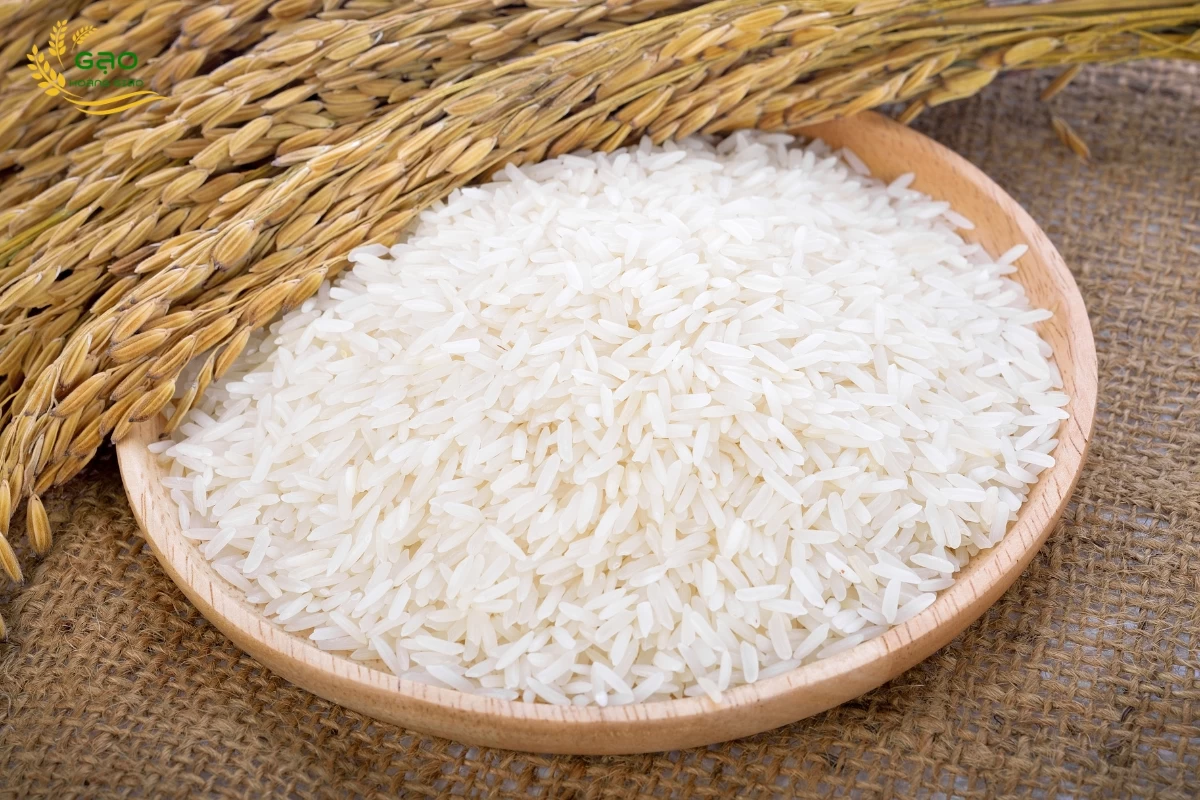 Bảng giá gạo ngày 29-03-2026