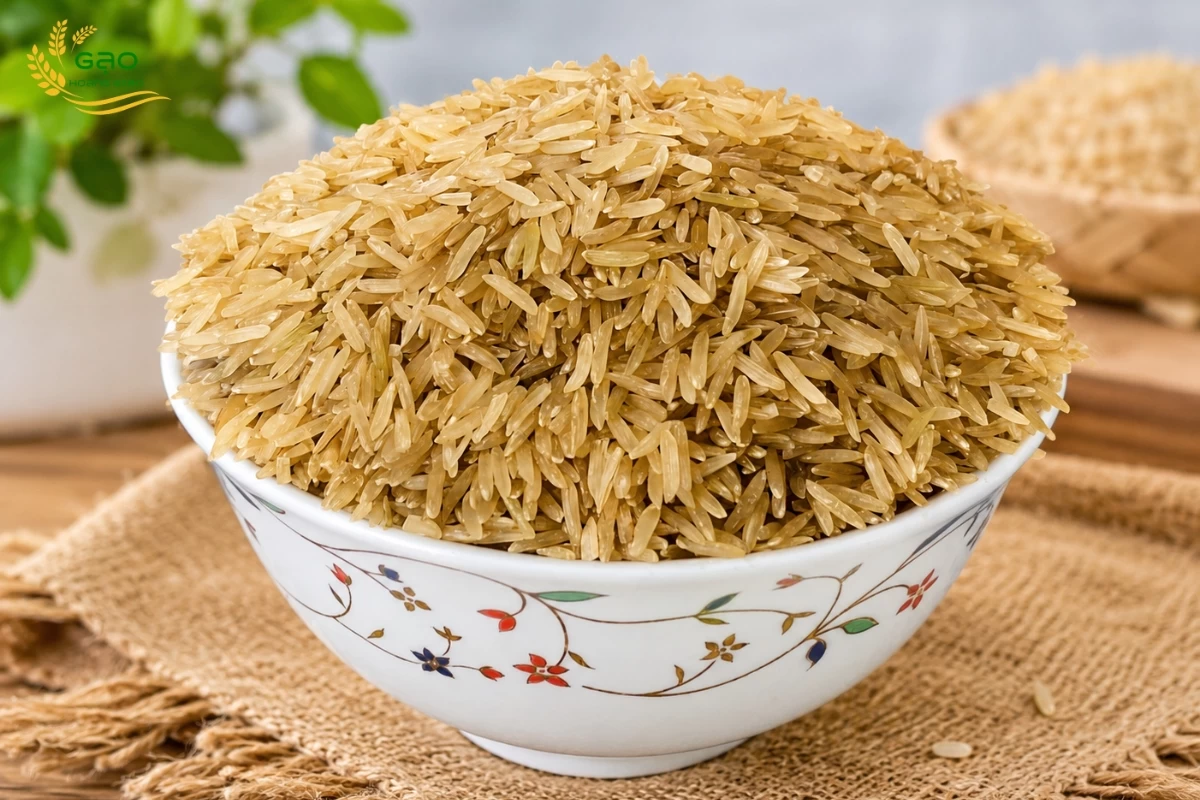 Gạo mầm